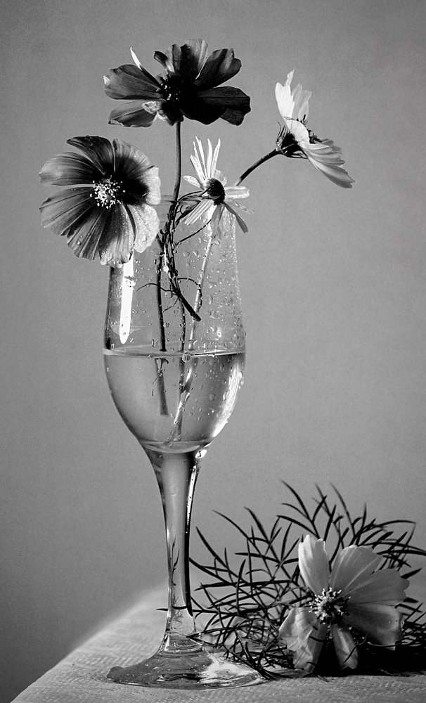 Photograph by Зоя Быкова