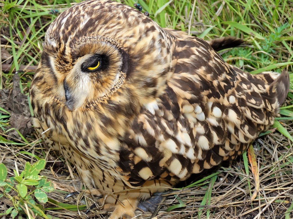 Photograph by Елена Стрельцова