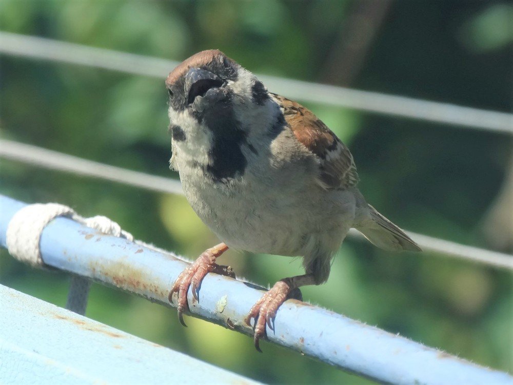 Photograph by Елена Стрельцова