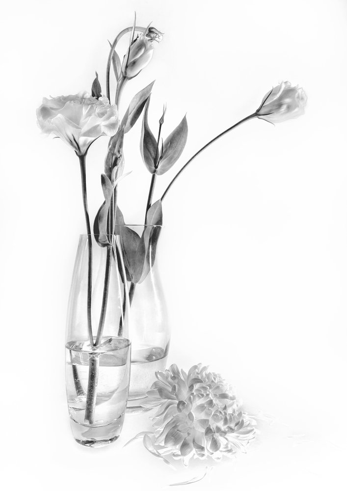 Photograph by Ilya Spektor