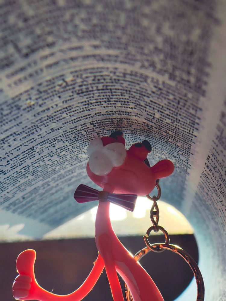 Photograph by OMAR Mourtagy Helal