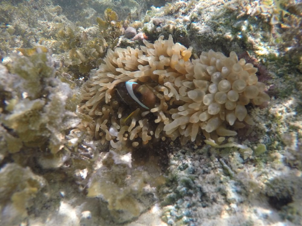 Photograph by OMAR Mourtagy Helal