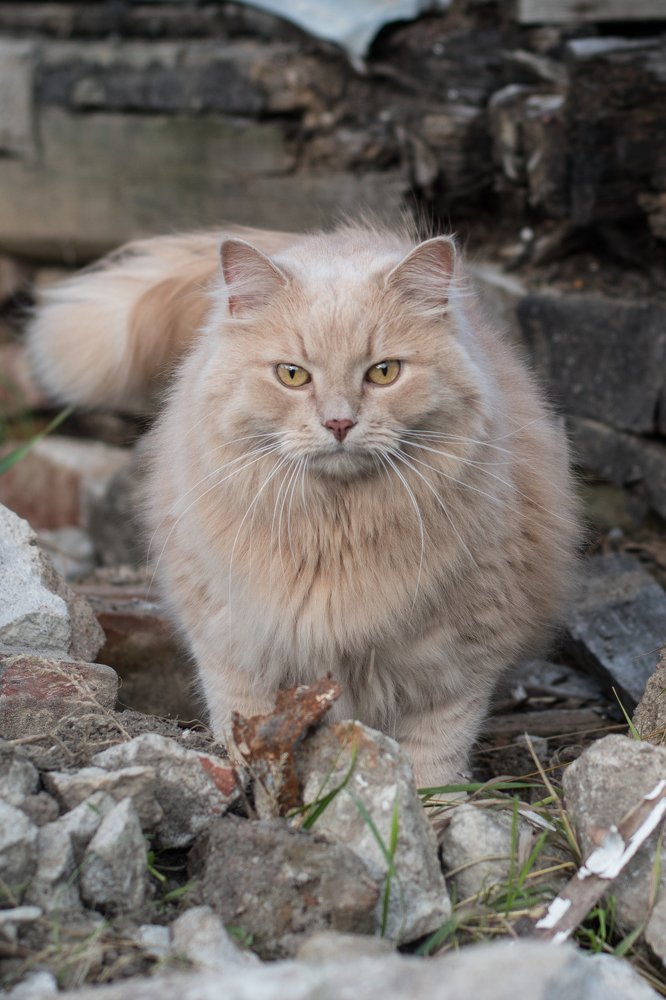 Photograph by Татьяна Юдина