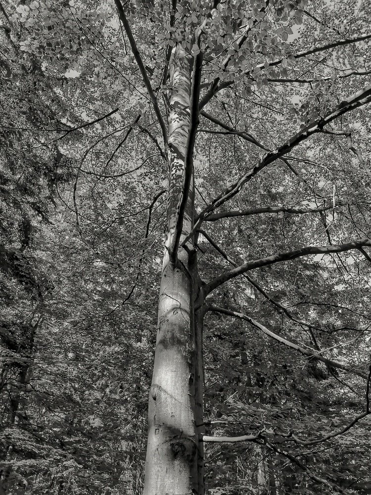 Photograph by Małgorzata Szymańska