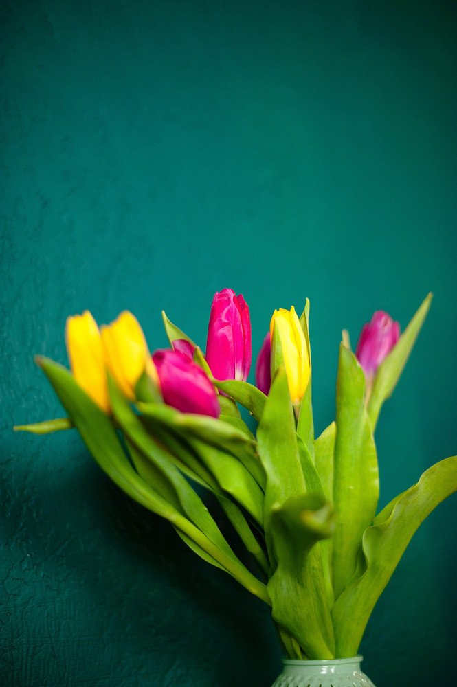 Фотография автора Анна Старцева