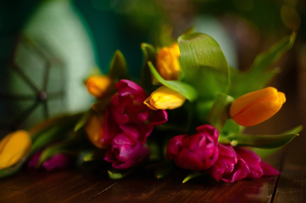 Фотография автора Анна Старцева