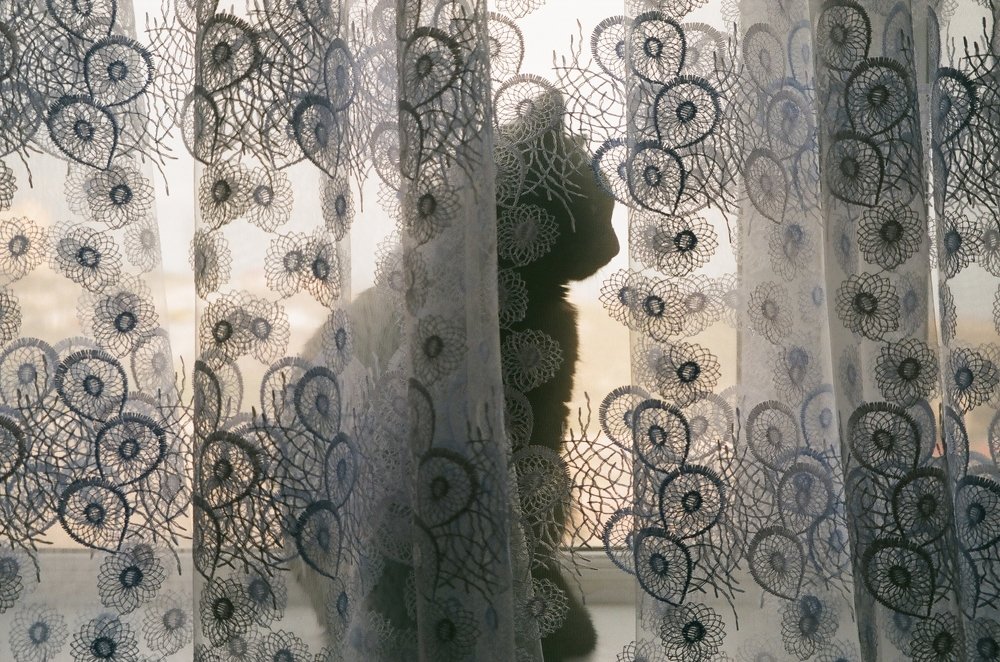 Photograph by Fidan Nazim qizi