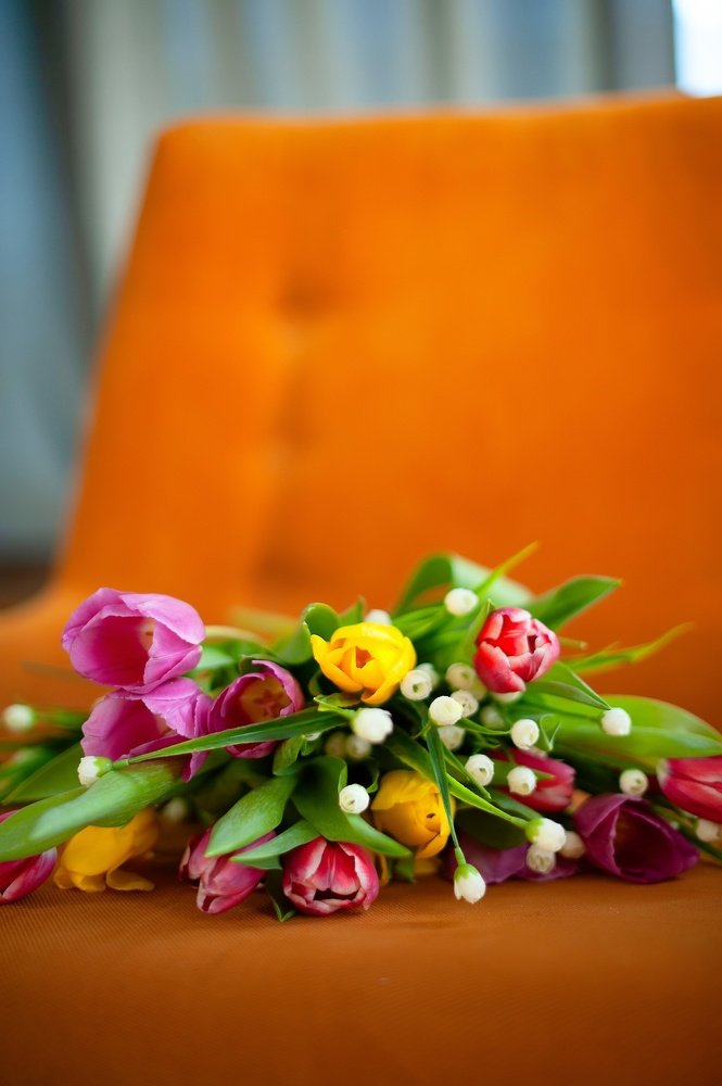 Фотография автора Анна Старцева