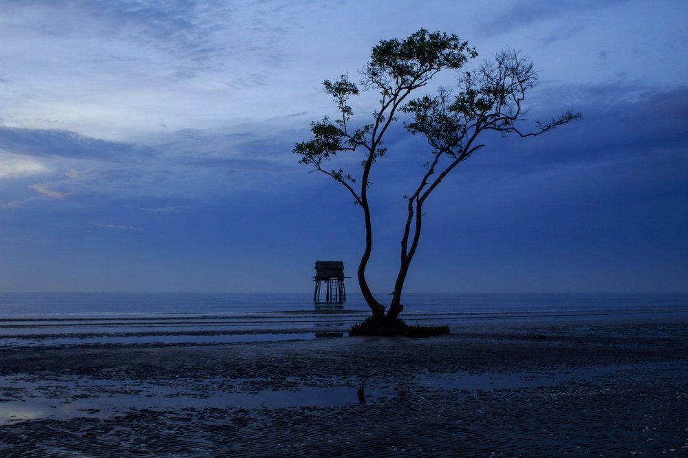 Photograph by Trí Lê Minh