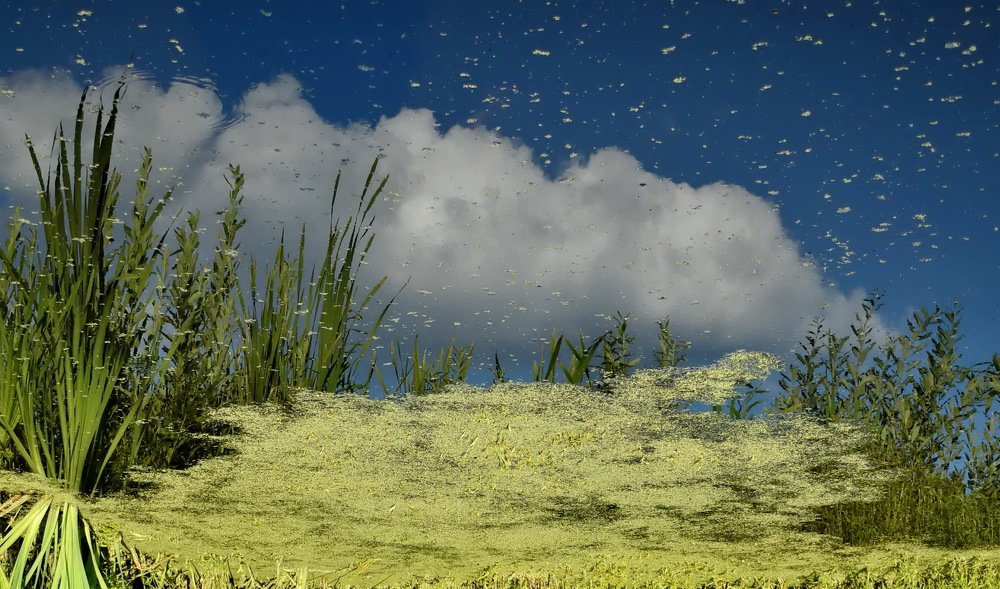 Photograph by НИНА АВЕРЬЯНОВА