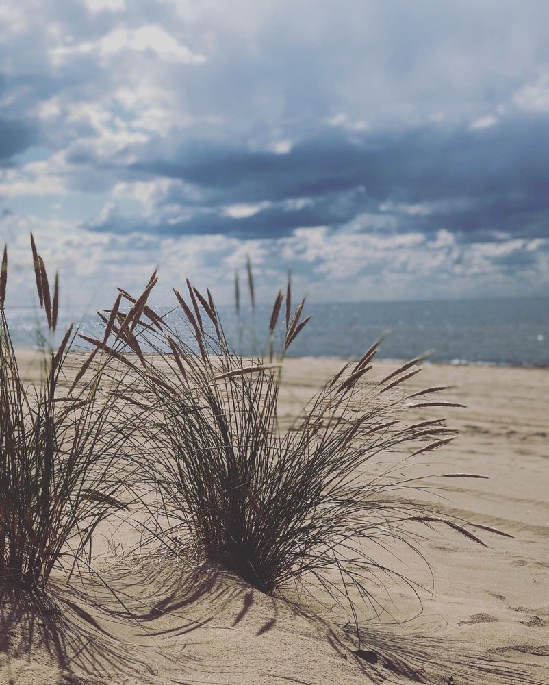 Photograph by Марина