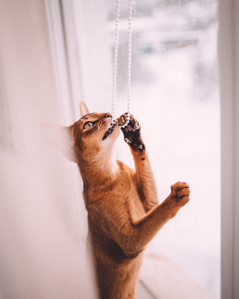 Photograph by Olga Zakharova