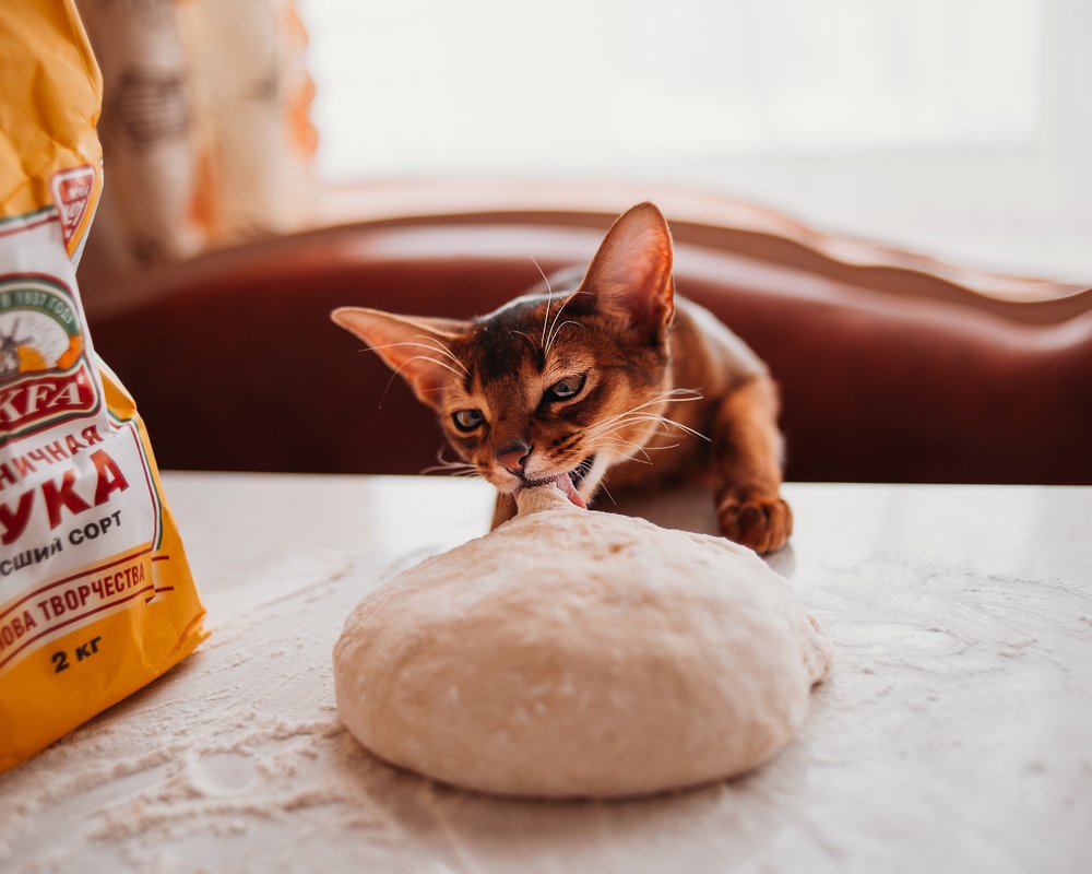 Photograph by Olga Zakharova