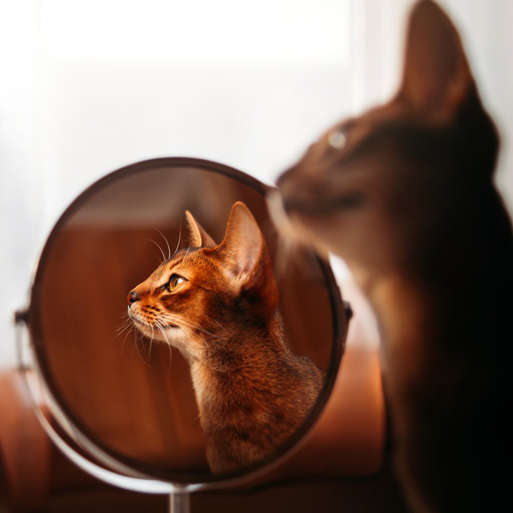 Photograph by Olga Zakharova