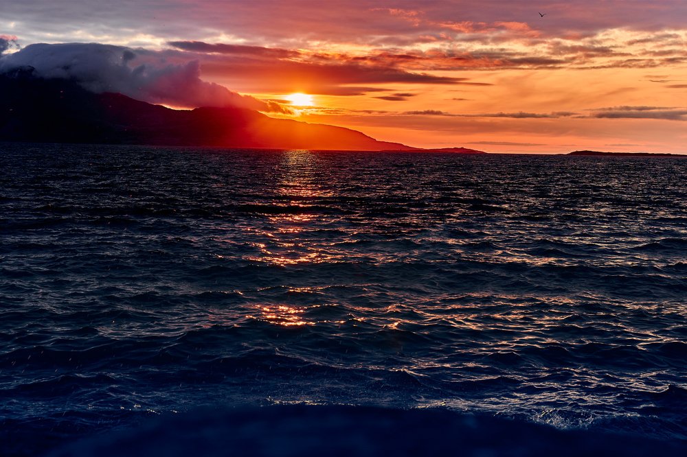 Photograph by Алексей Щербаков