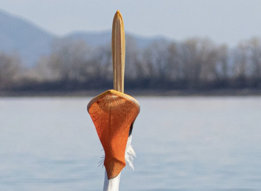 Photograph by Yaroslav Chepurnoy