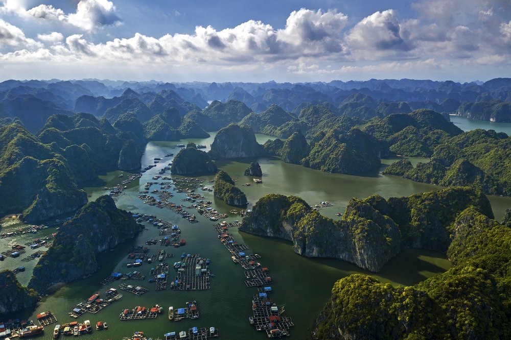 Photograph by Ngọc Đỗ