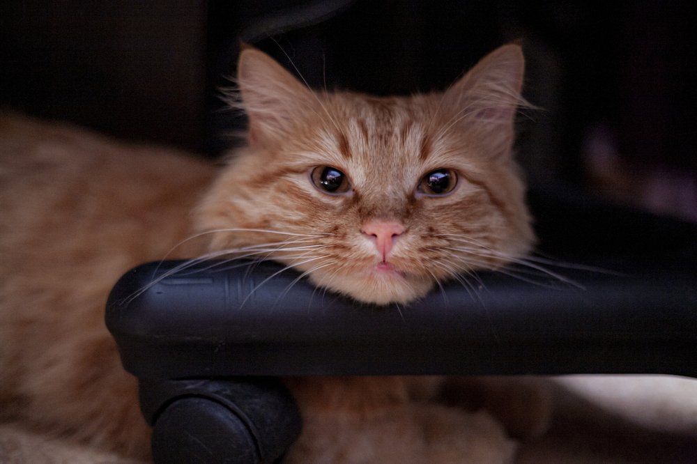 Photograph by Усатый Александр