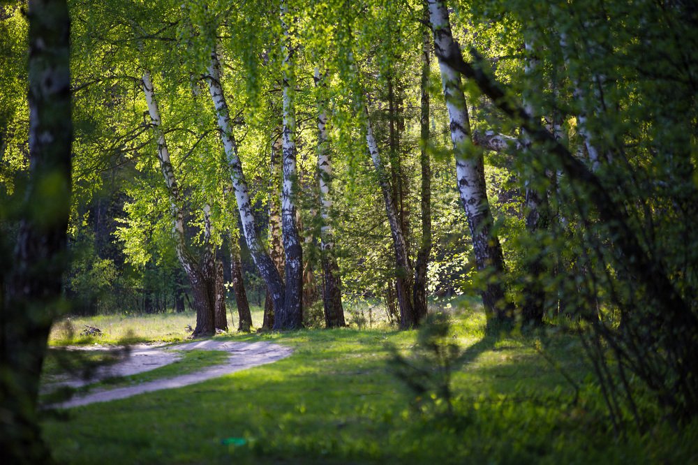 Фотография автора Виталий Зейфер