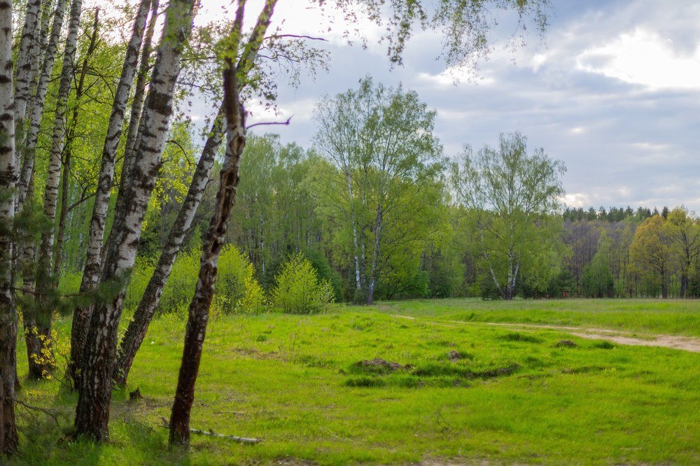 Фотография автора Виталий Зейфер