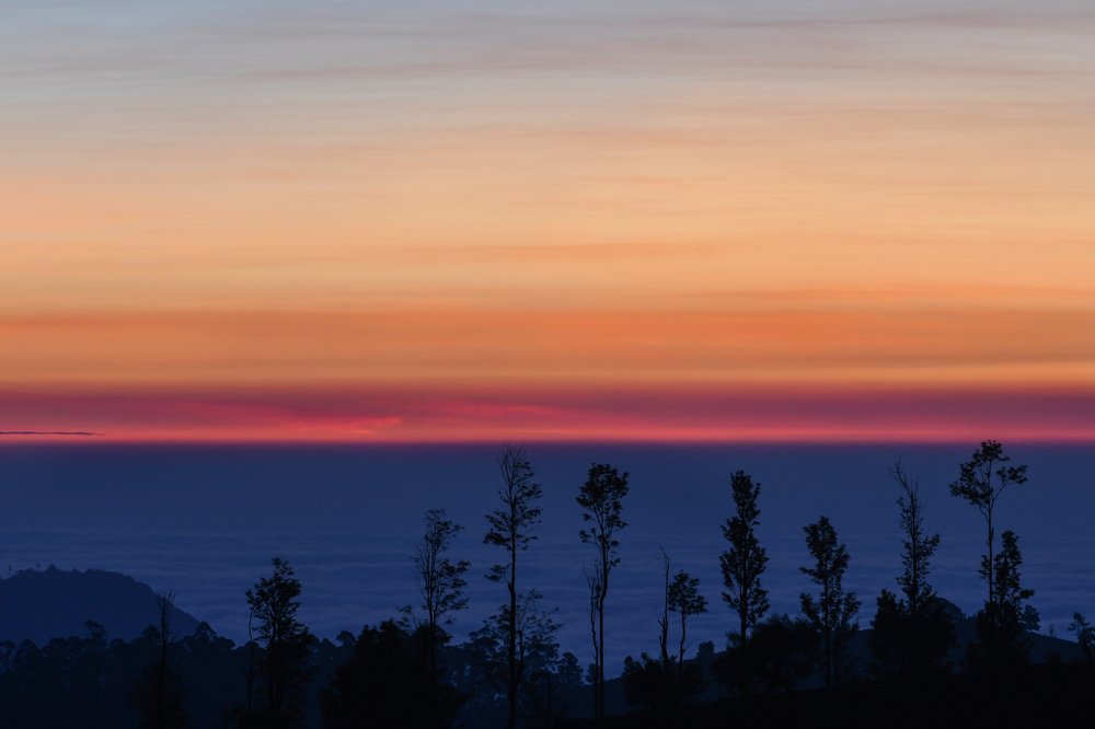 Photograph by Dhaval Vanol