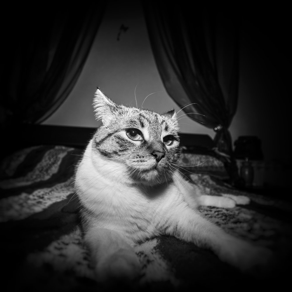 Фотография автора Виталий Зейфер