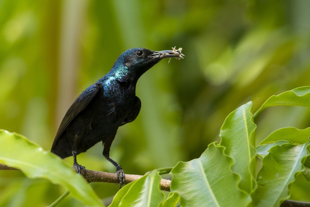 Photograph by Dhaval Vanol