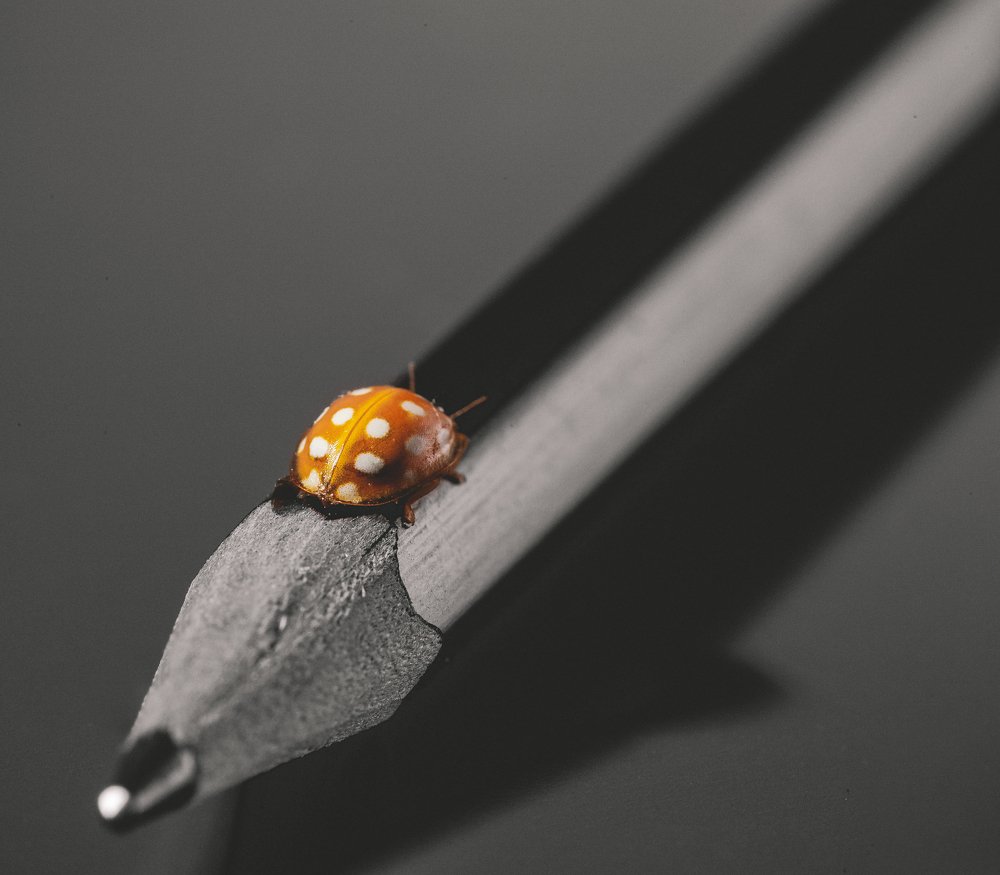 Photograph by Сергей Савельев