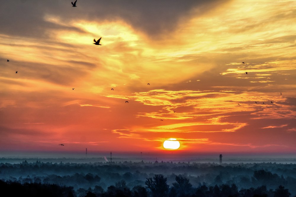 Photograph by Владислав Мотузенко