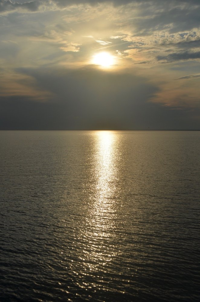 Фотография автора Евгения Илина