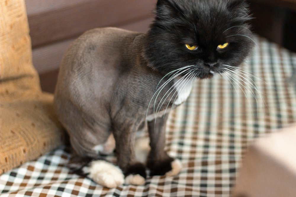 Photograph by Мария Бочкова