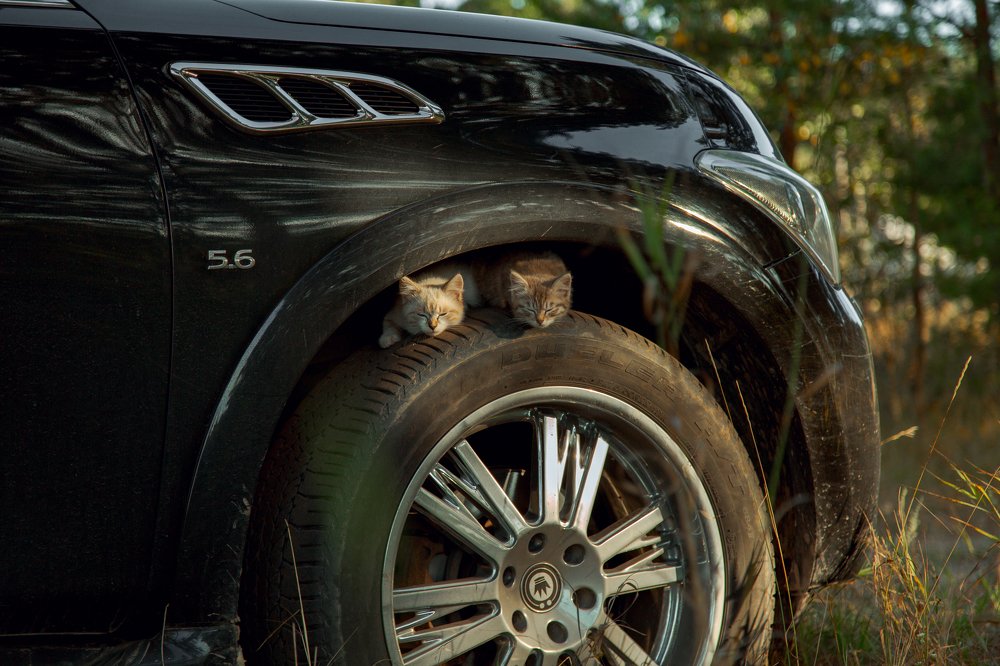 Photograph by Мария Бочкова