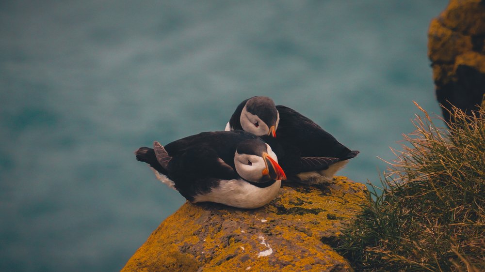 Photograph by Валерия Машкова