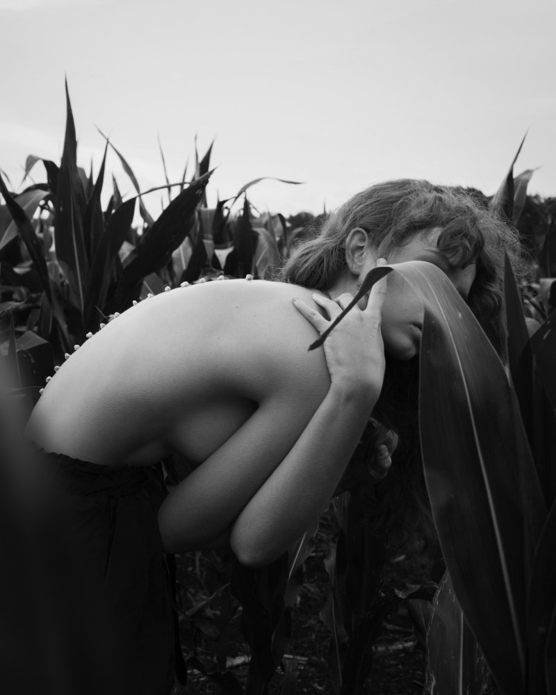 Photograph by Diana Kondra