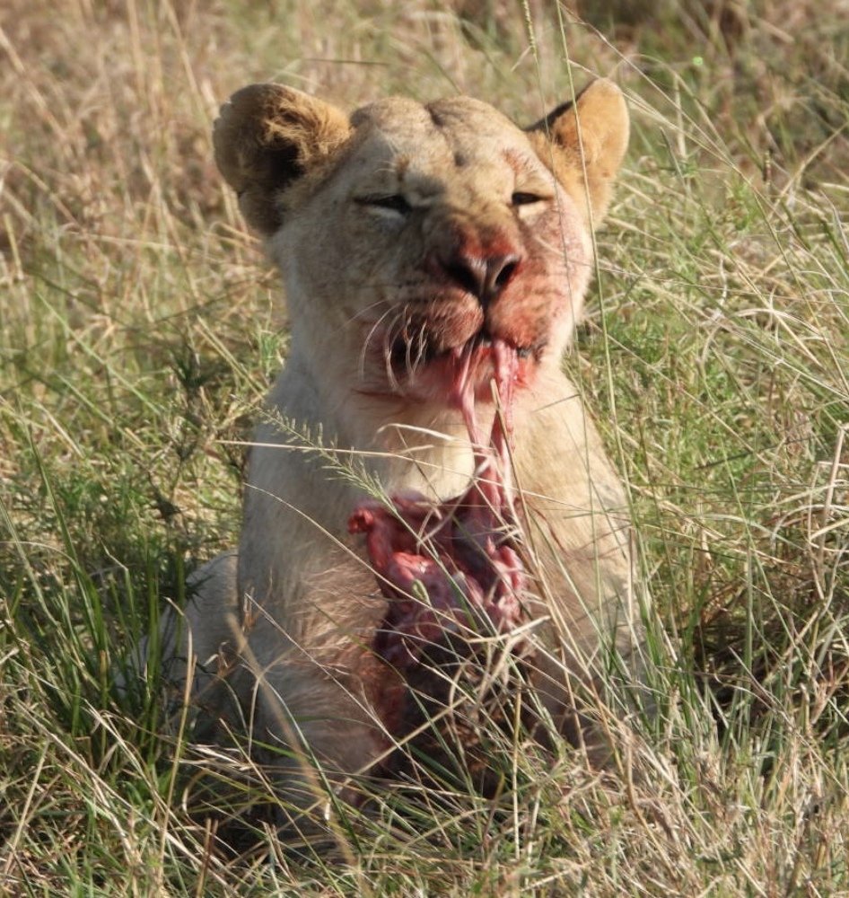 Breakfast... A yummy affair