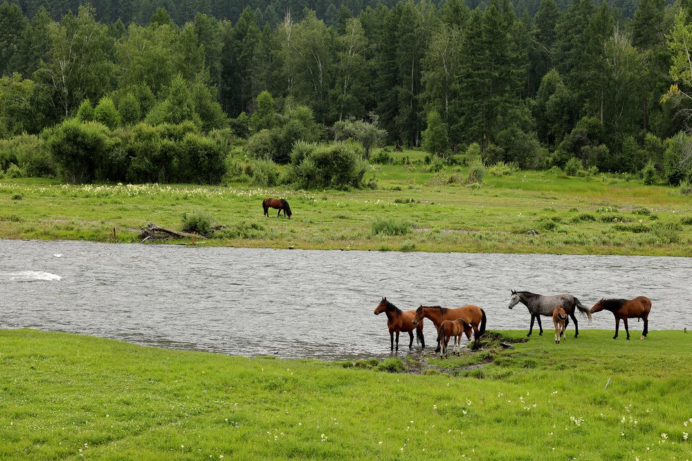 Photograph by Шаталина Оксана