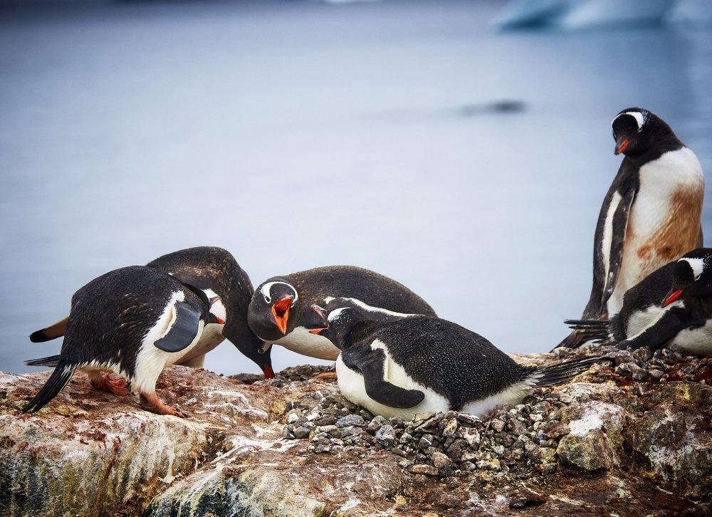 Photograph by Babka Yoshka (в миру - Сергей)