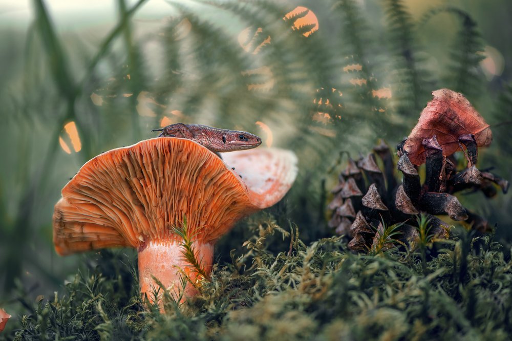 Я за тобой слежу!