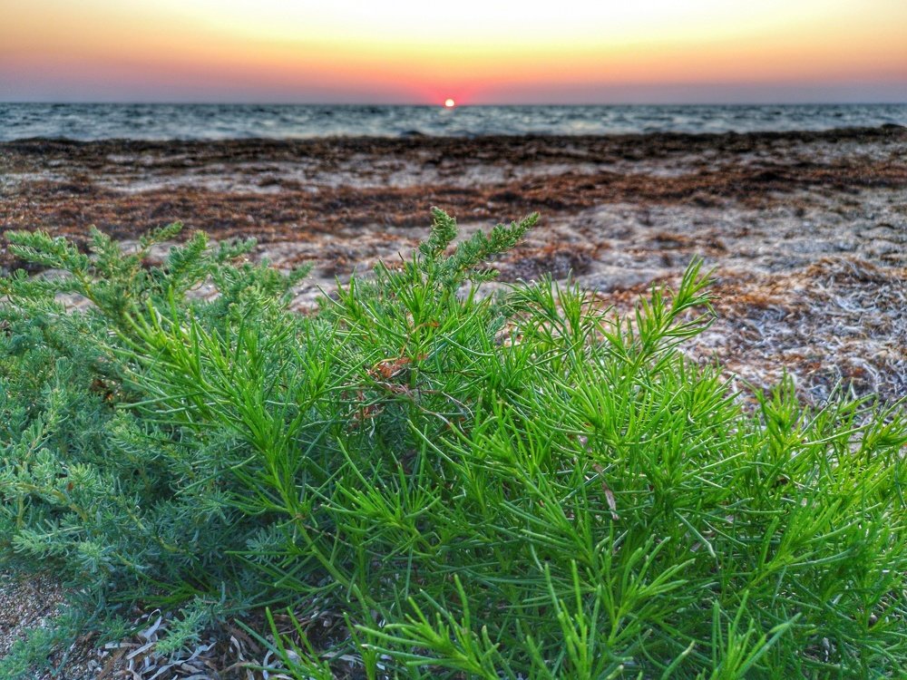 Photograph by Валерий