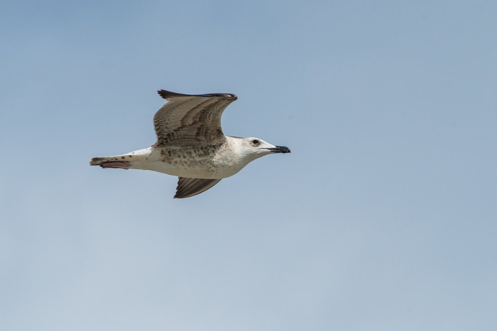 Photograph by Felix Sorokin