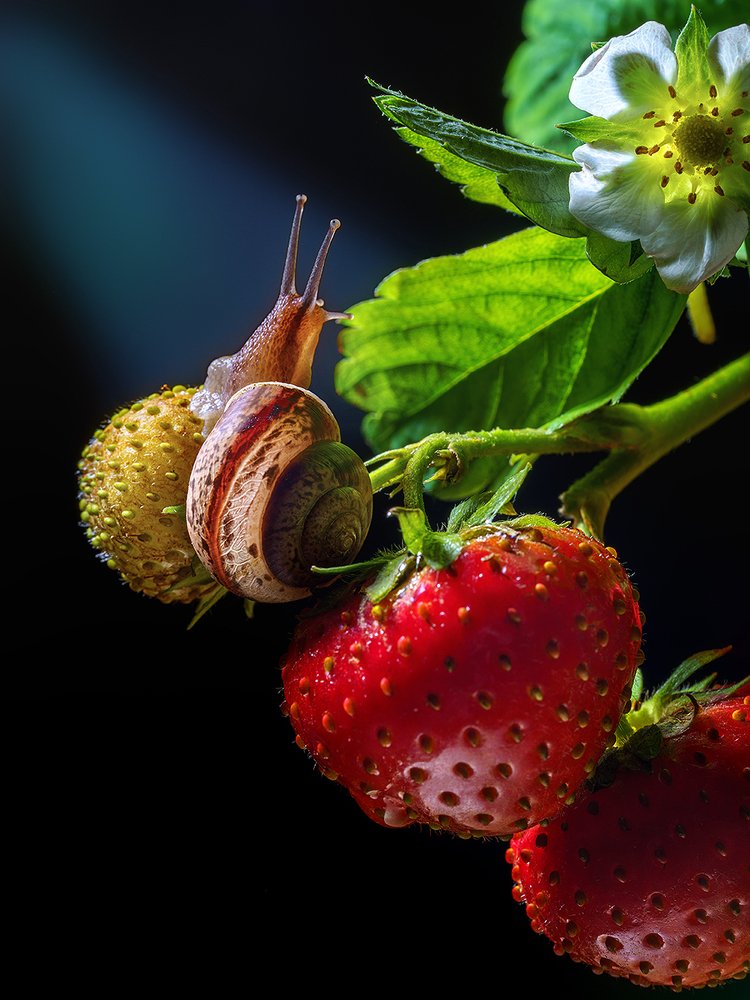 Фотография автора ЯR Ольга