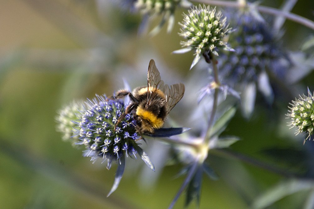 Photograph by Yroslava Veretina