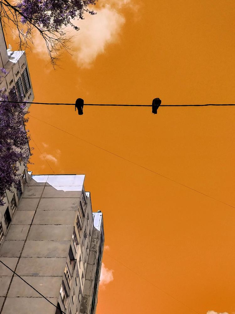 в оранжевом настроении!