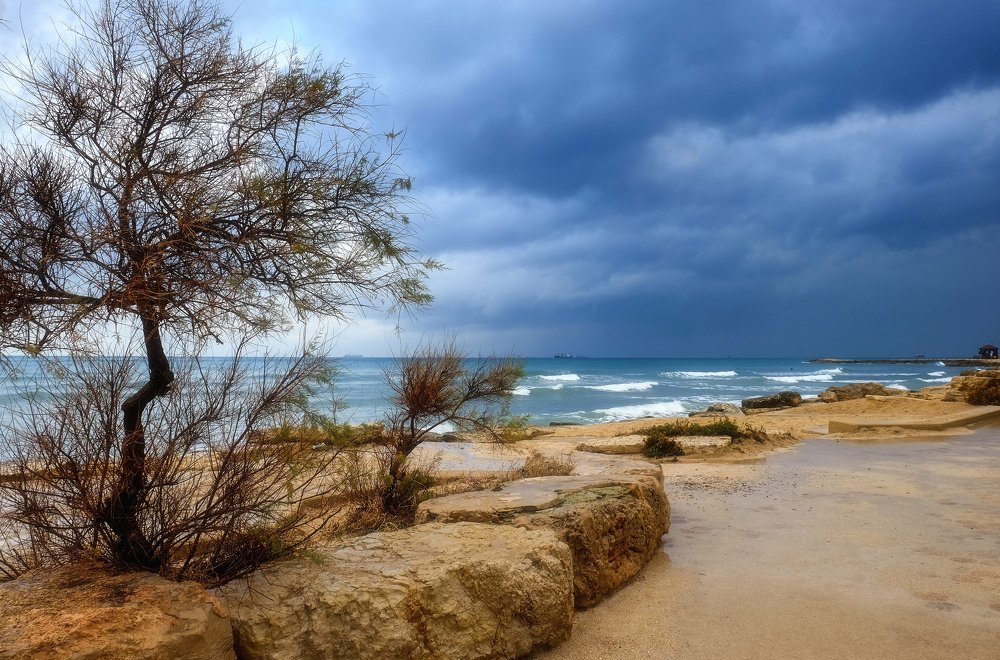 Зимнее море