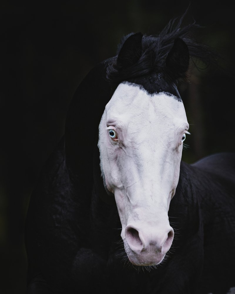 Photograph by Ricardo Zaviasky