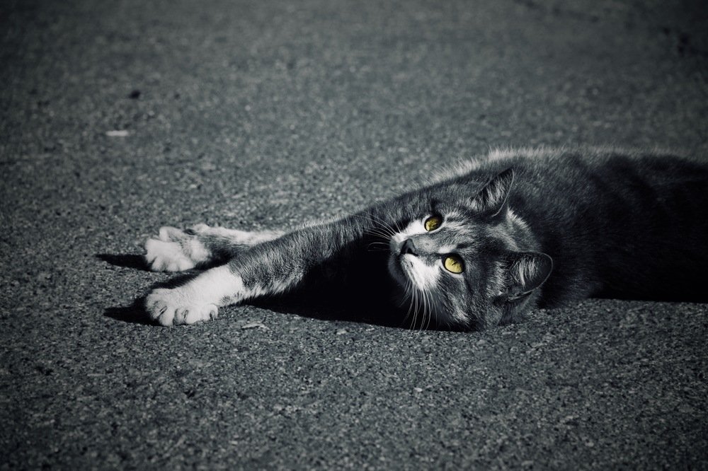 Фотография автора Oксана