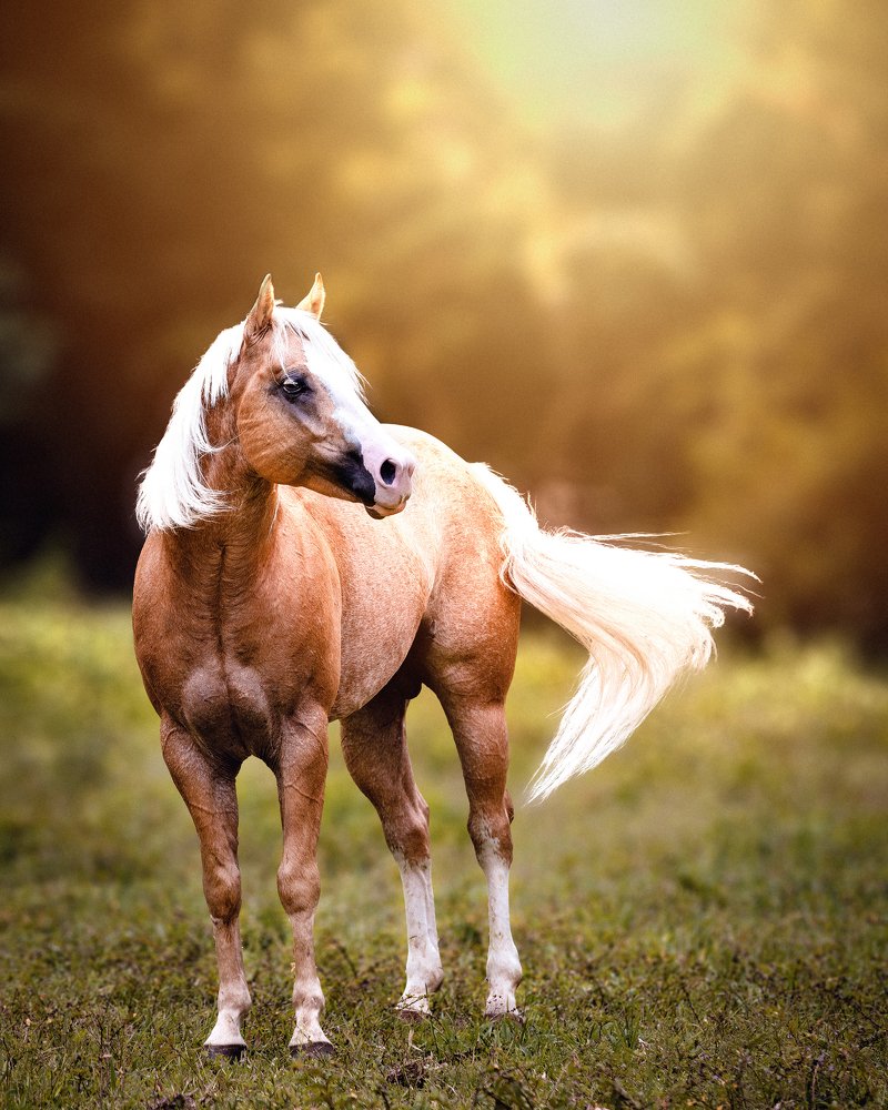 Photograph by Ricardo Zaviasky