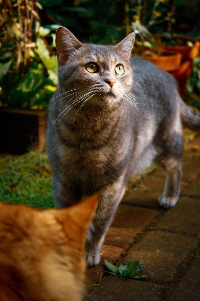 Photograph by Alena Rybakova