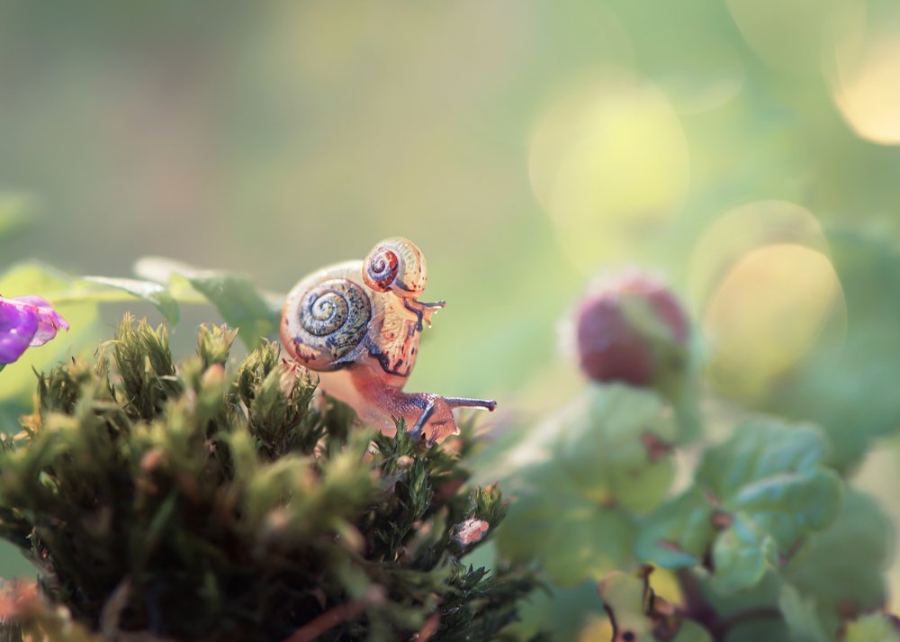 Photograph by Анастасия Третьякова