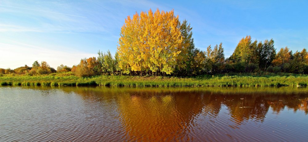 Костер осени